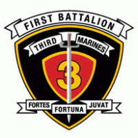 1st Battalion 3rd Marine Regiment USMC