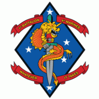 1st Battalion 4th Marine Regiment USMC Preview