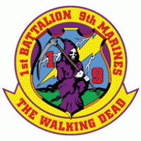 1st Battalion 9th Marine Regiment USMC