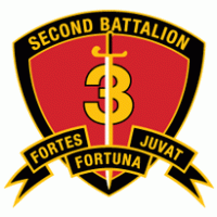 2nd Battalion 3rd Marine Regiment USMC