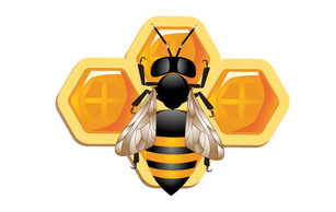 3d bee and Honeycomb Preview