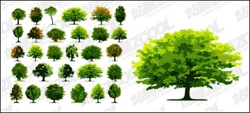 Flowers & Trees - A number of trees vector material 