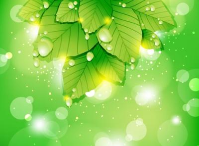Abstract Vector Leaf Background Preview