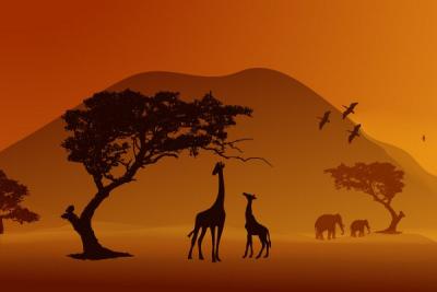 African Safari Vector Illustration Preview