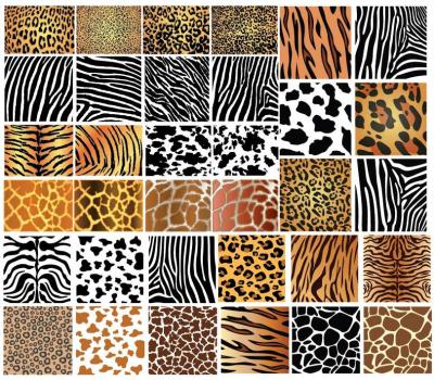 Animal Skin Patterns Preview