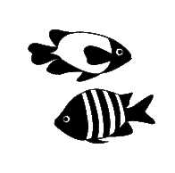 Animals - Aquarium Fish Vectors 