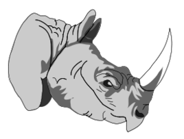 Architetto -- rhinoceros 1