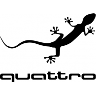 Auto - Audi Quattro Gecko 