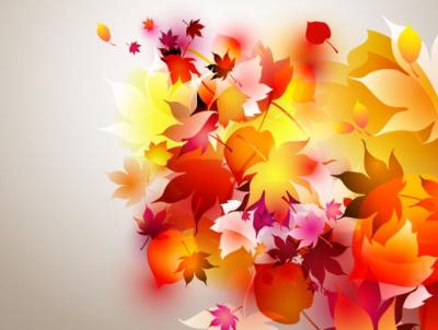 Nature - Autumn Leaf Composition 