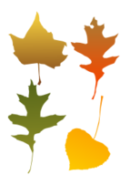 Autumn Leaf selection Preview