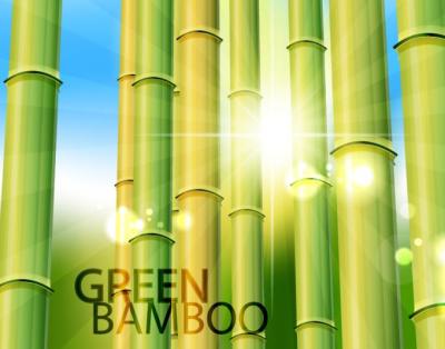 Bamboo Vector Preview
