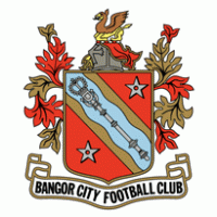 Football - Bangor City FC 