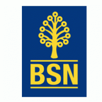 bank simpanan nasional (BSN)