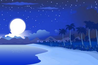 Beach at Night Vector Preview