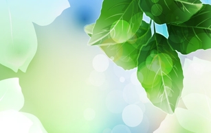 Nature - Beautiful Green Leaf Background Vector Illustration 