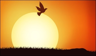 Bird populations under the Sunset vector material Preview