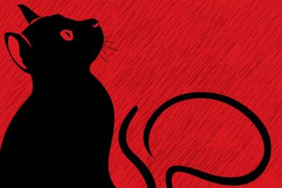 Black Cat on Red Background Vector Preview