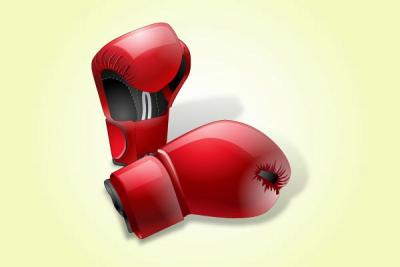 Sports - Boxing Gloves Vector 