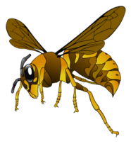 Brown-Yellow Hornet Preview