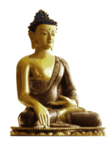 Buddha Shakyamuni Preview