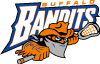 Buffalo Bandits Vector Logo Preview