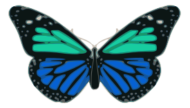 Animals - Butterfly 02 Turquoise Blue 