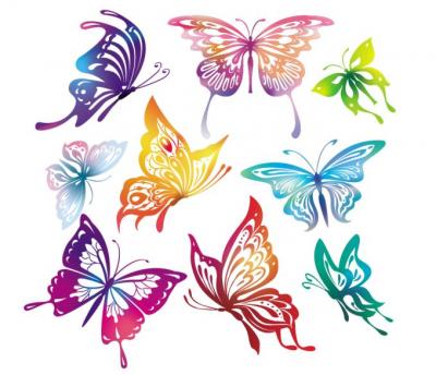 Butterfly Vector Preview