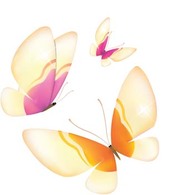 Butterfly Vector 29