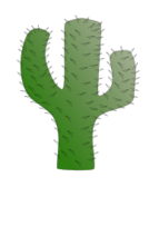 Cactus Preview