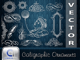 Ornaments - Calligraphic Ornaments in vector 