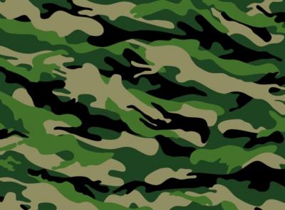 Camouflage background Preview