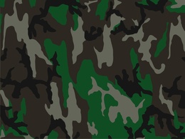 Camouflage Pattern Preview