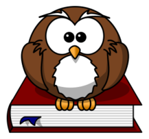 Cartoon - Cartoon owl sitting on a book 