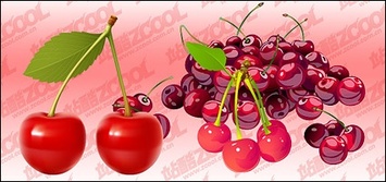 Cherry Vector fine material Preview