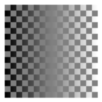 Chessboard Illusion