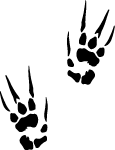 Claw Prints Vector Preview