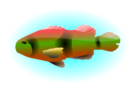Animals - Colourful Fish 