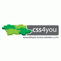 CSS consulting & service solution