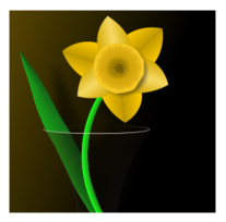 Daffodil Preview