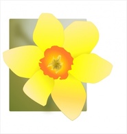 Nature - Daffodil clip art 