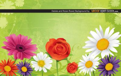 Daisies and Roses Flower Background Preview