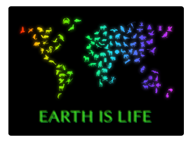 Earth Is Life Preview
