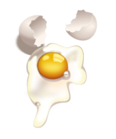Food - Egg Uncooked 
