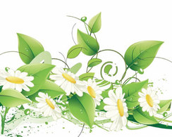Flourishes & Swirls - Elegant Floral Vector Background 