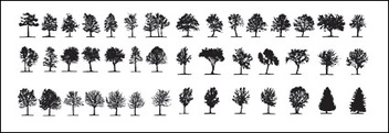 Elements of trees in Pictures