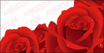 Exquisite red roses vector material Preview