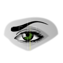 Eye Scan Preview
