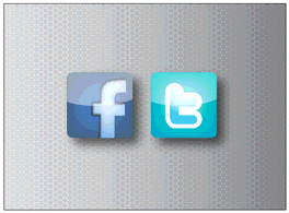Facebook and Twitter Icons Preview