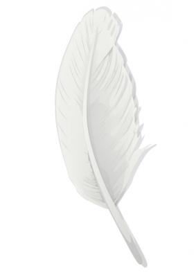Feather Preview