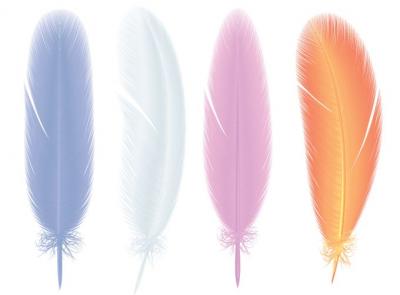 Feather Vector Preview